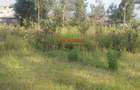 500 m² Commercial Land in Kikuyu Town - 5