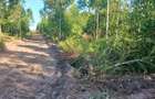 Land in Diani - 14