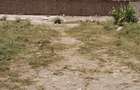 0.25 ac Land at Quarry Road - 8