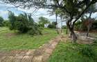 2.5 ac Land at Pangoni - 4