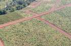 0.125 ac Residential Land in Juja - 3