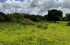 Land at Kikambala - Mombasa Malindi Highway - 6