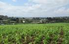 Land at Ngong Town - 1