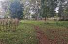 1 ac Land at Thigiri - 14