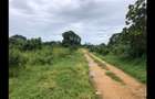 Residential Land in Vipingo - 14