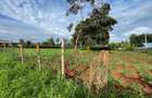 0.5 ac Residential Land in Nyeri - 4