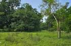 20 ac Land at Mtwapa - 14
