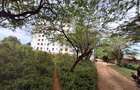 Serviced 1 Bed Apartment with En Suite at Shanzu Serena - 16