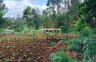 0.125 ac Land at Off Ruaka Banana Road - 4