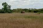 Land in Machakos County - 5