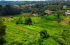 10 ac Residential Land in Karen - 3
