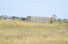 Residential Land at Juja Farm Joyfarm Plots Mwireri - 4