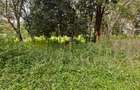 9 ac Land in Karen - 3