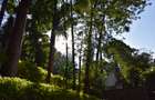 5 Bed House with Garden in Ruaka - 6