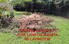 0.75 ac Residential Land at Mageta Road - 1