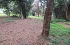 4 ac Land at Mushroom Gardens - 9