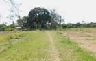 6 ac Land at Mtwapa - 4