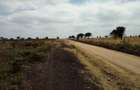 Land at Umma University - 2