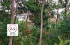 0.125 ac Land at Kasphat Estate - 15