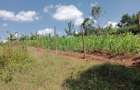 5,000 ft² Land at Muchatha Banana Kiambu - 9
