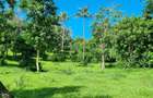 2.5 ac Land at Mtwapa Creekside - 14