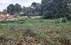 0.5 ac Land in Ngong - 9