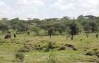 5 ac Land at Oloilalei - 10