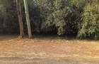 Residential Land at Tumbili Road - 3