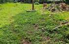 0.76 ac Residential Land at Gardenestate Road - 3