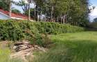 0.5 ac Residential Land at Bomas - 2