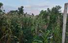Land in Diani - 16