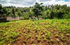 0.5 ac Land at Kinanda Close - 5