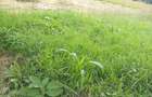 Residential Land at Kerarapon Road - 2