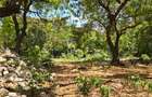 1 ac Land at Hemingways - 4