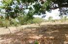 10,000 ft² Land in Vipingo - 6