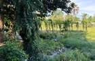 2 ac Land at Mtwapa - Animo - 12