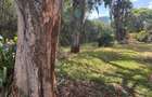 Land at Lavington - 9