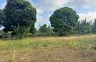 30 ac Land at Kikambala Bomani - 10