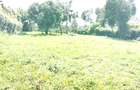 Commercial Land in Kinoo - 1