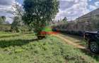 0.05 ha Residential Land at Lusigetti - 10