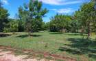 Land in Vipingo - 4