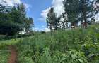 0.5 ac Land in Ngong - 8