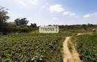 18.5 ac Commercial Land in Kasarani - 6