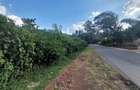 Residential Land at Runda Grove - 6