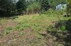 0.25 ac Residential Land in Ngong - 12