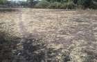 0.125 ac Residential Land in Ongata Rongai - 8