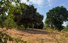 Land in Mtwapa - 4