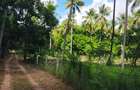 Land in Kilifi County - 4