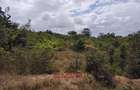 1.00 ac Residential Land at Diani Beach Road - 5