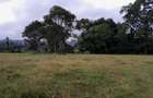21 ac Land in Tigoni - 6